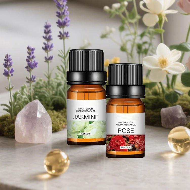 10ml Fragrance Oils Gift Box F - Soap Making Book review and price