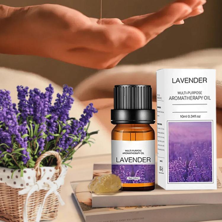 10ml Fragrance Oils Gift Box F - Soap Making Book review and price