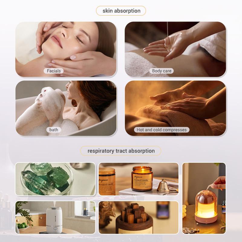 10ml Fragrance Oils Gift Box F - Soap Making Book review and price